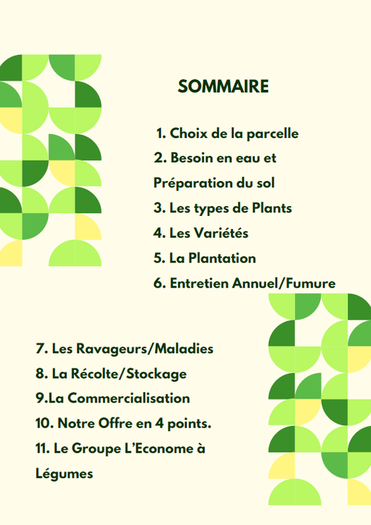 Guide Technique - Plantation de Fraisiers